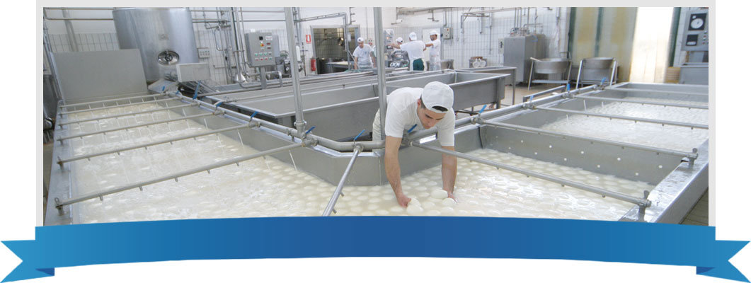 The Dairy Unit