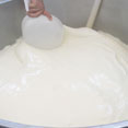 The Dairy Unit