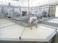 Lavorazione