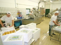 Lavorazione
