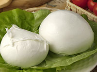 Mozzarella