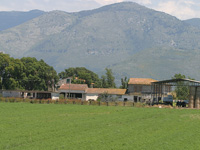 Prateria